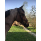 Bridon Evolution - Muserolle Soft'T confort