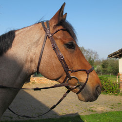 Bridon Evolution - Muserolle Soft'T confort