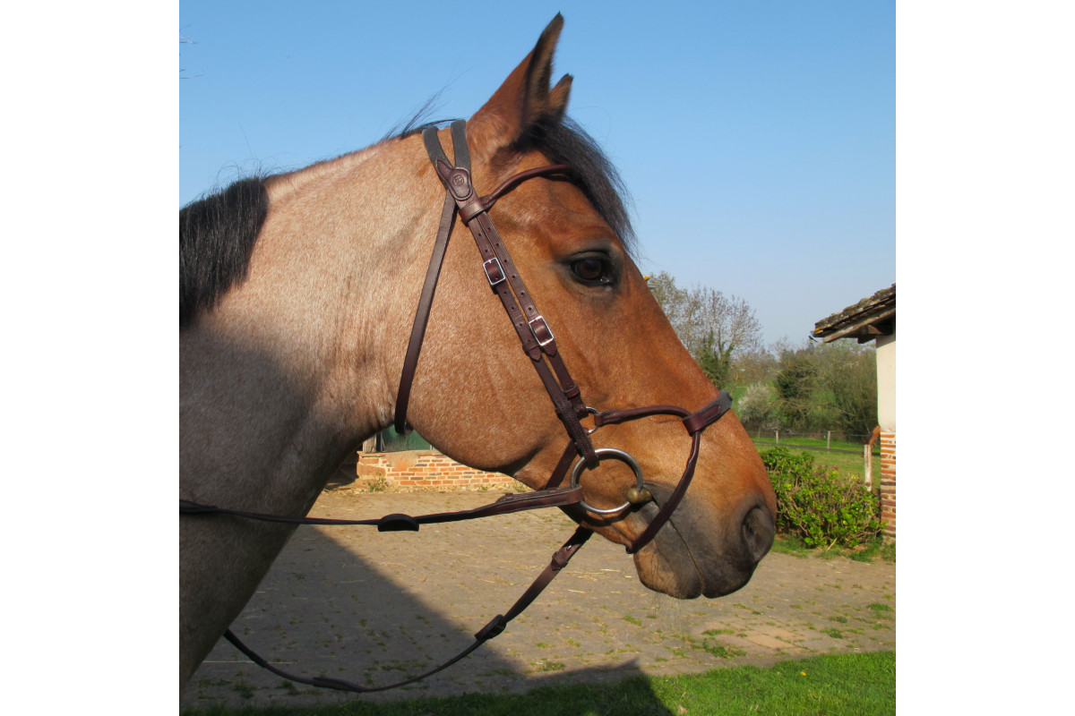 Bridon Evolution - Muserolle Soft'T confort