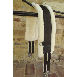 Sangle anatomique mouton