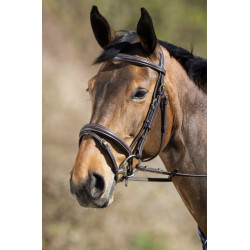 Bridon Elegant HFI
